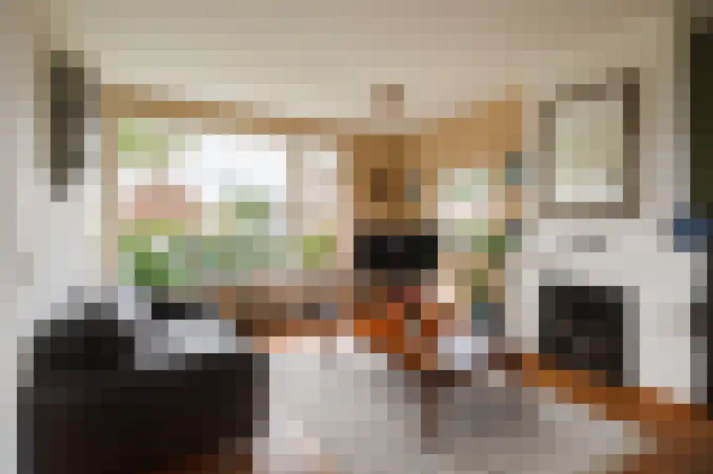 Nieuwe Tielseweg 114 Tiel thumbnail 14