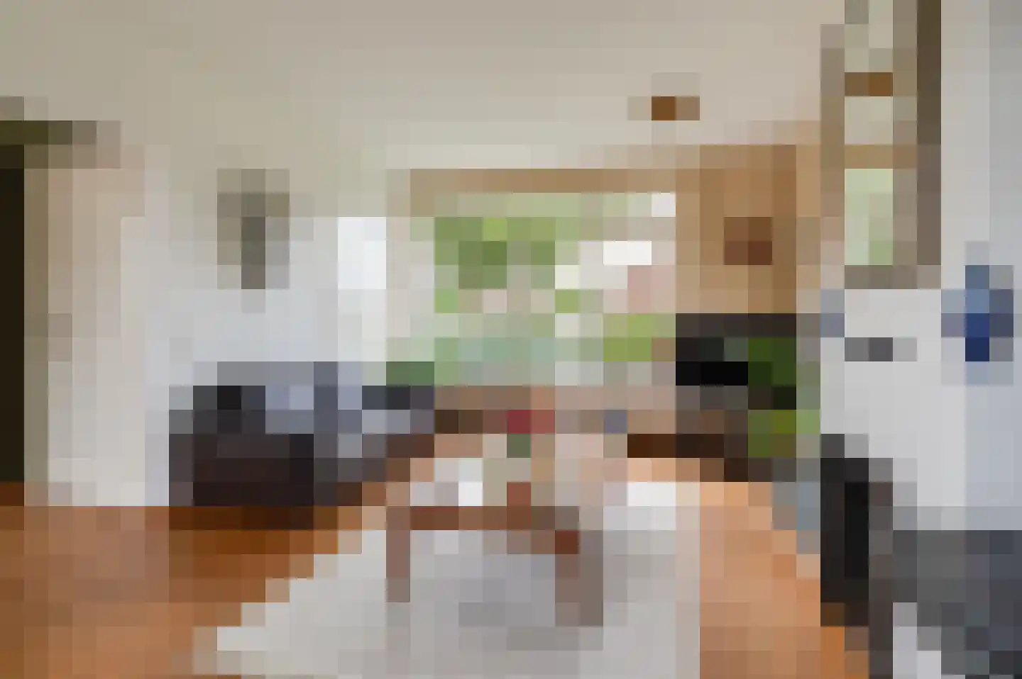 Nieuwe Tielseweg 114 Tiel thumbnail 15