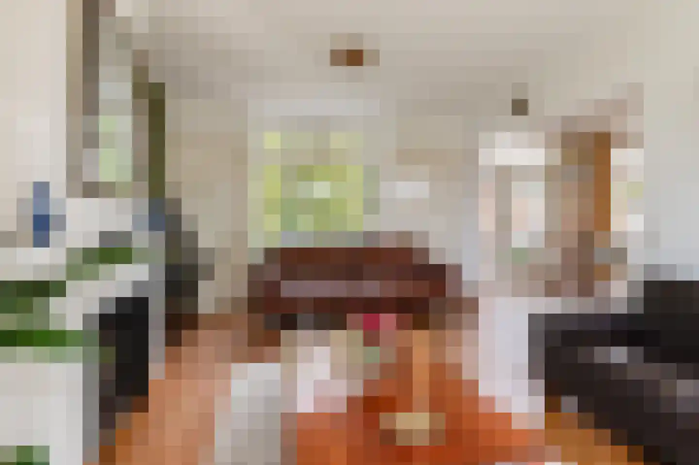 Nieuwe Tielseweg 114 Tiel thumbnail 16