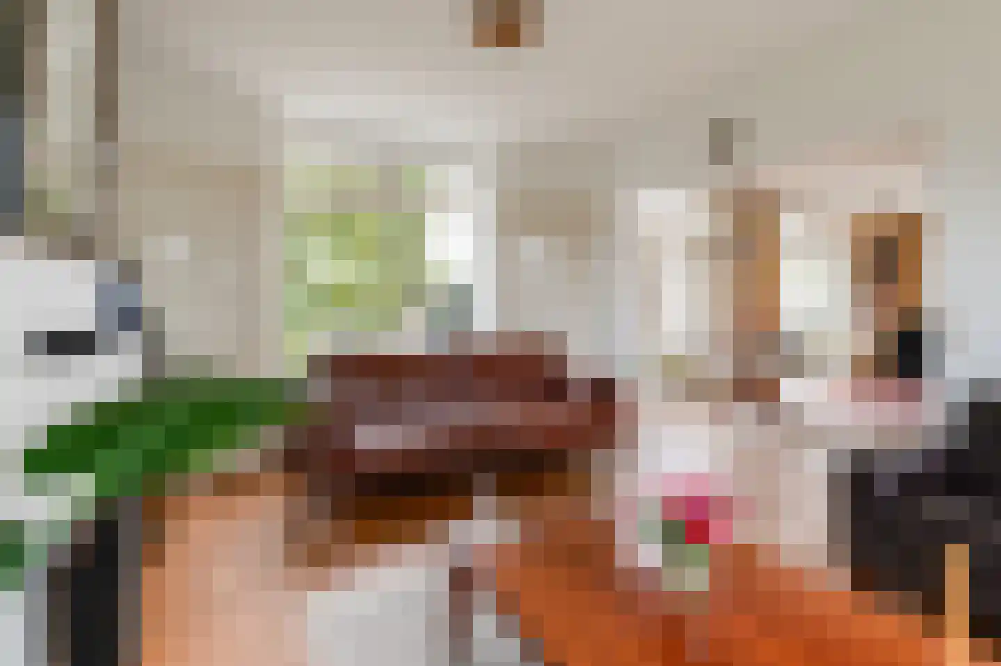 Nieuwe Tielseweg 114 Tiel thumbnail 17