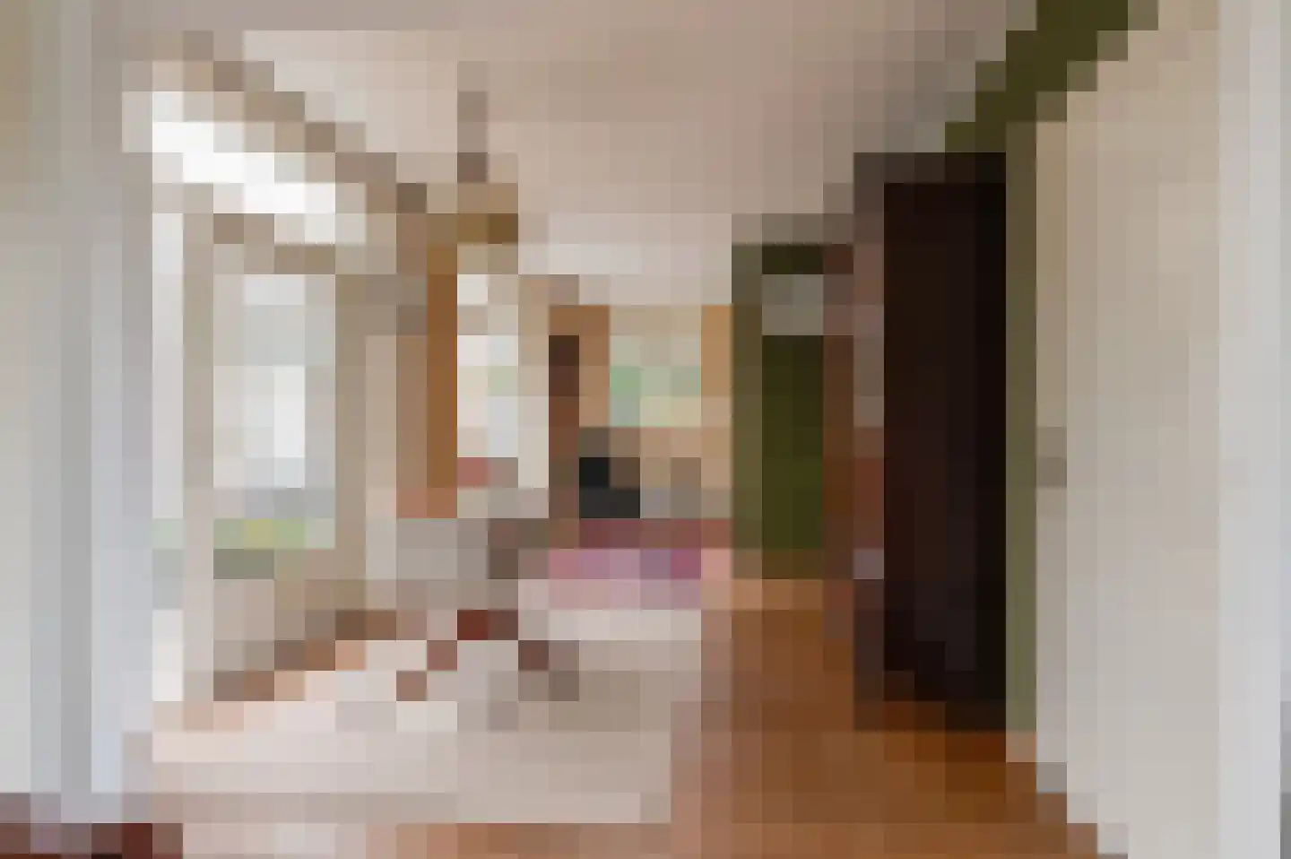 Nieuwe Tielseweg 114 Tiel thumbnail 18