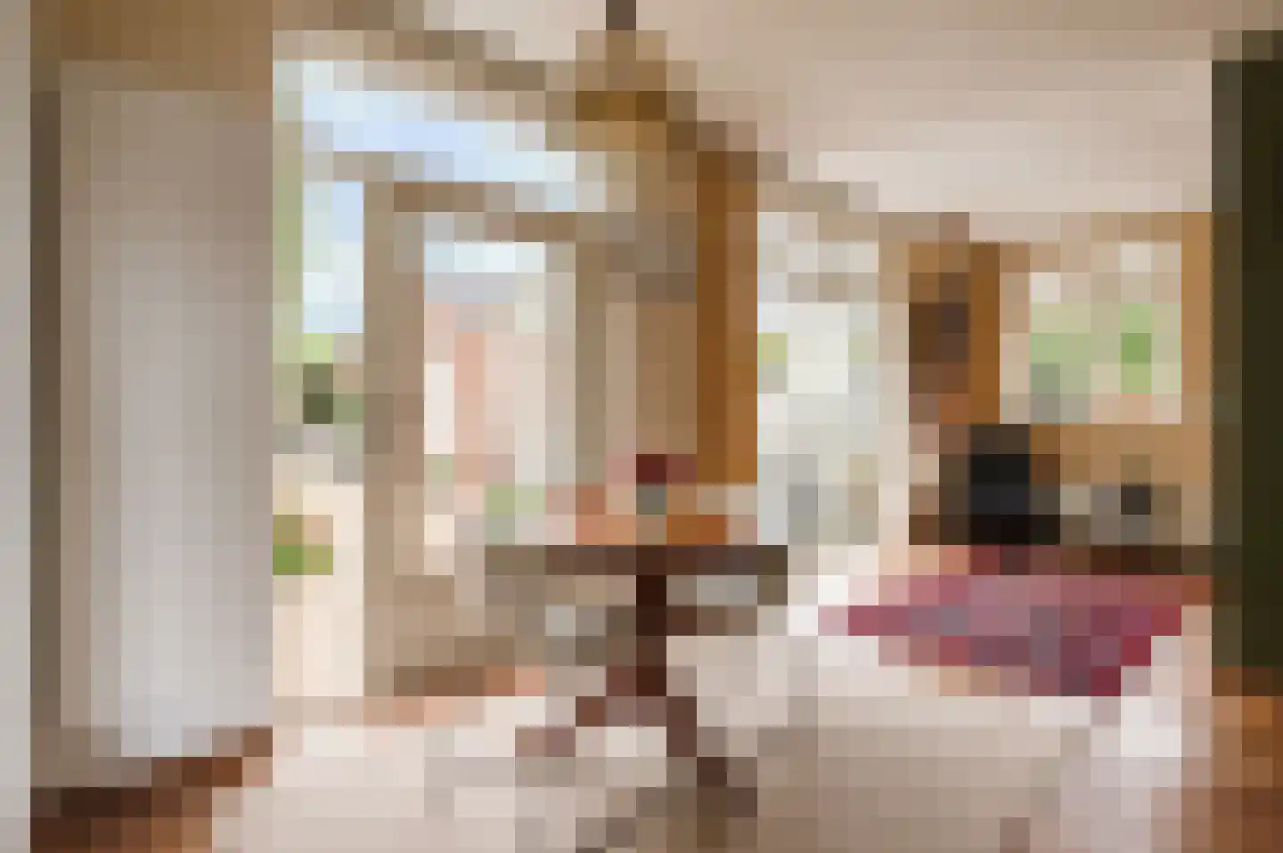 Nieuwe Tielseweg 114 Tiel thumbnail 19