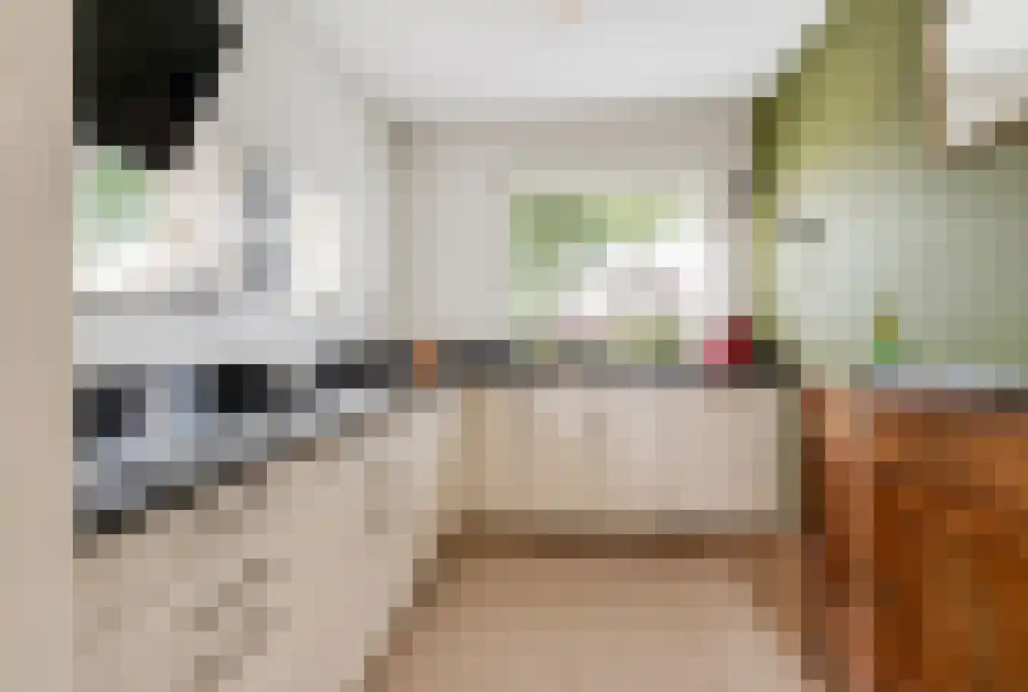 Nieuwe Tielseweg 114 Tiel thumbnail 21