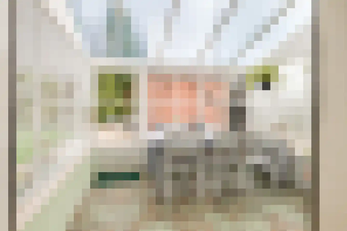 Nieuwe Tielseweg 114 Tiel thumbnail 22