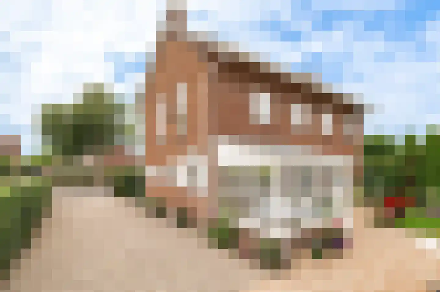 Nieuwe Tielseweg 114 Tiel thumbnail 24