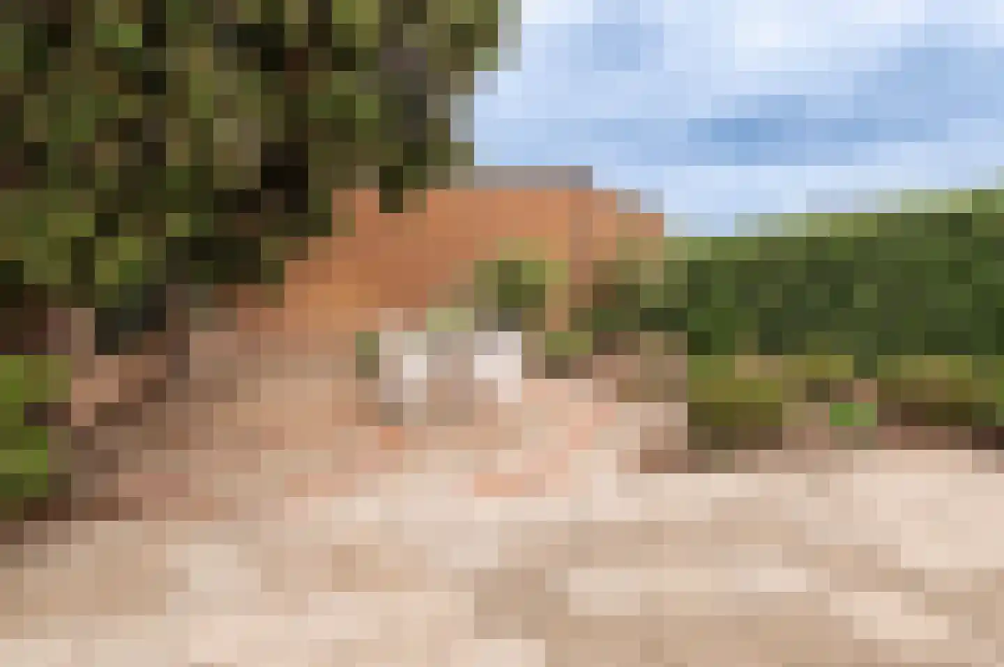 Nieuwe Tielseweg 114 Tiel thumbnail 27