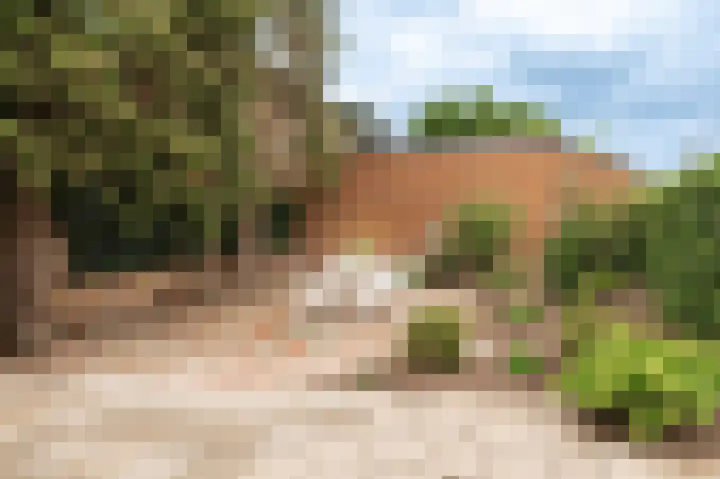 Nieuwe Tielseweg 114 Tiel thumbnail 28