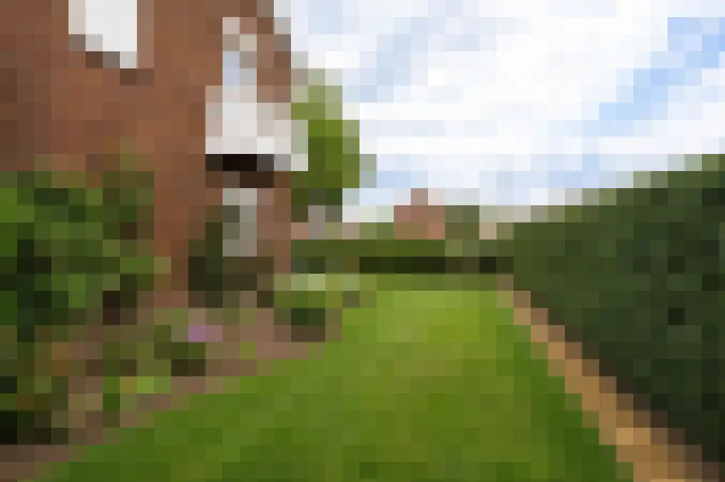 Nieuwe Tielseweg 114 Tiel thumbnail 29