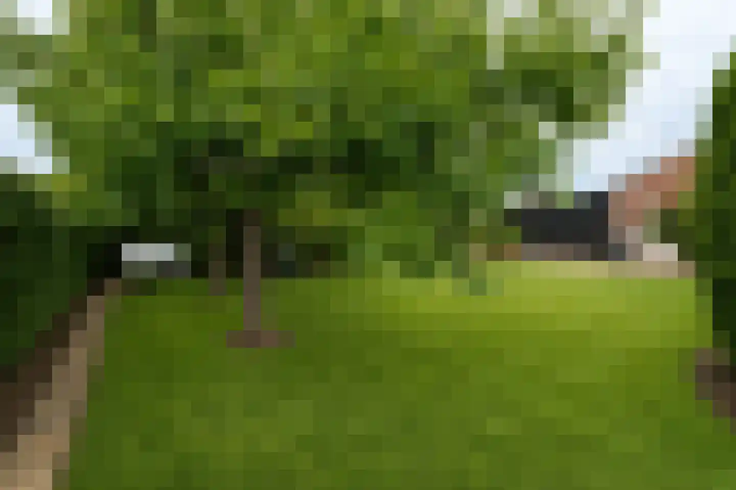 Nieuwe Tielseweg 114 Tiel thumbnail 30