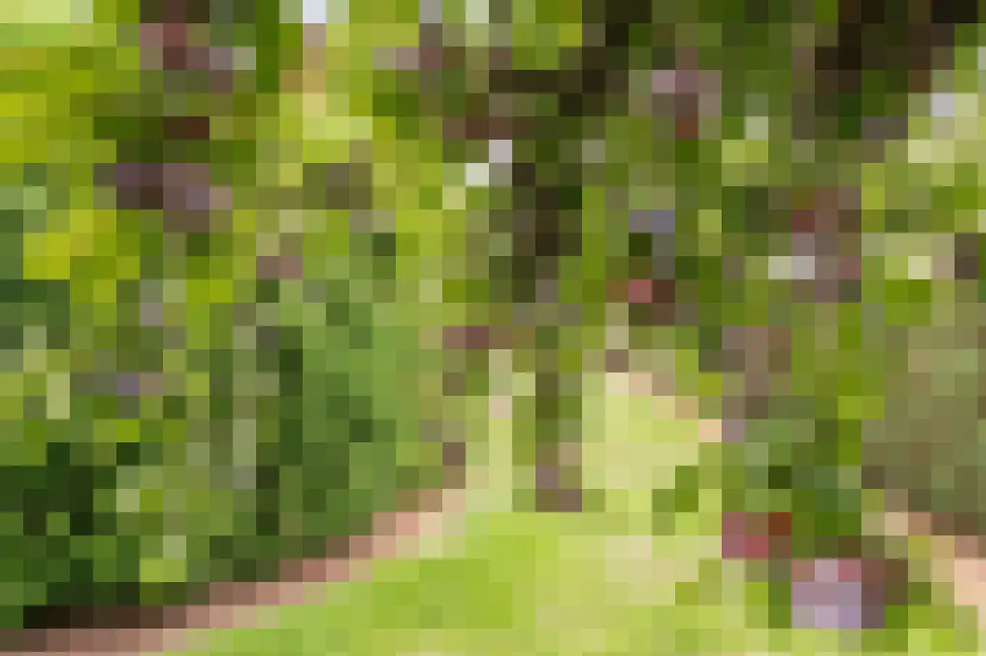 Nieuwe Tielseweg 114 Tiel thumbnail 31