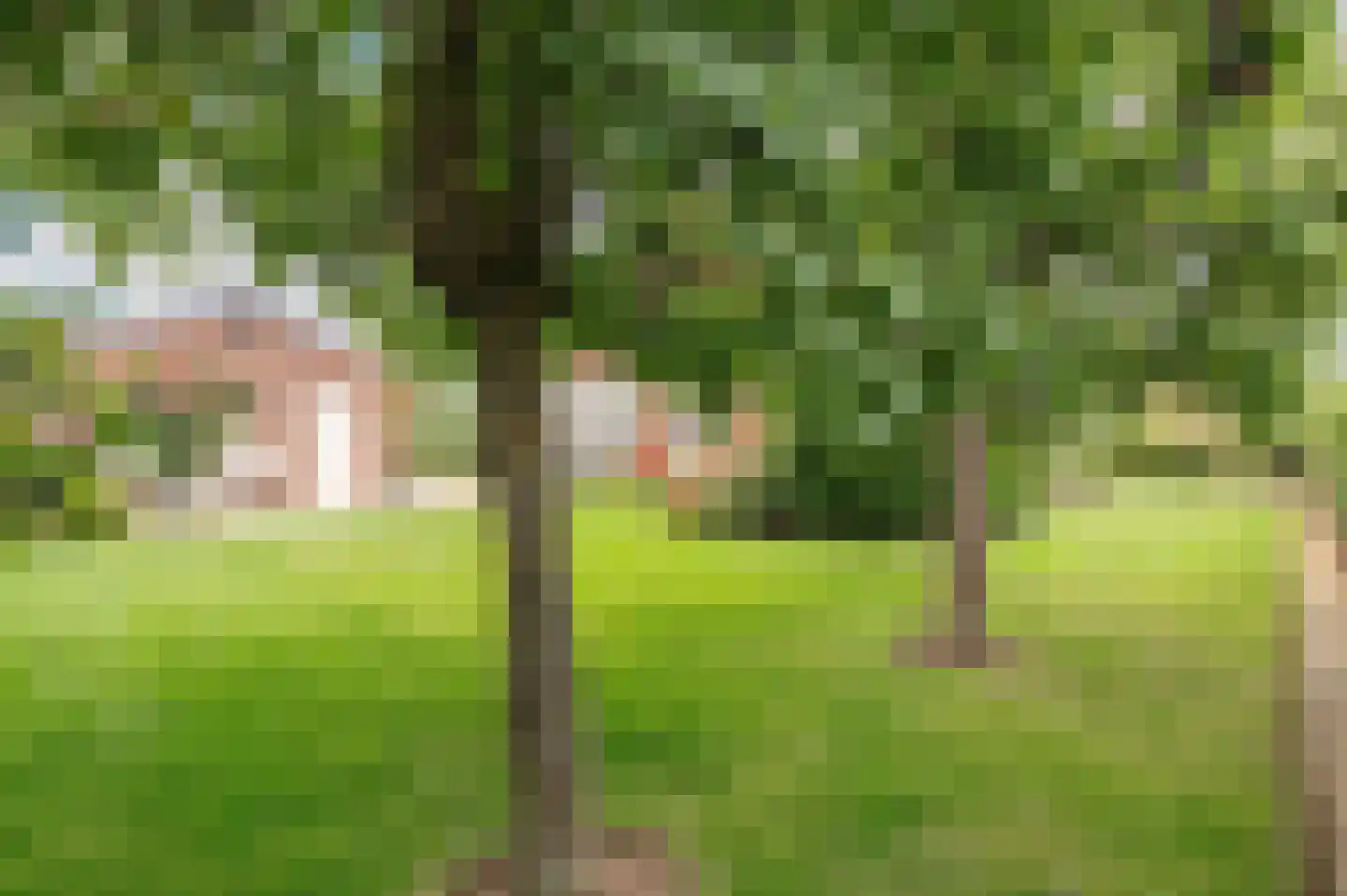 Nieuwe Tielseweg 114 Tiel thumbnail 32
