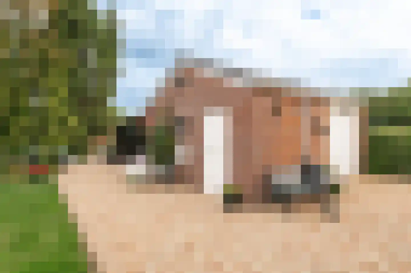 Nieuwe Tielseweg 114 Tiel thumbnail 34