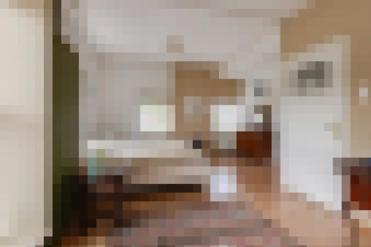 Nieuwe Tielseweg 114 Tiel thumbnail 38
