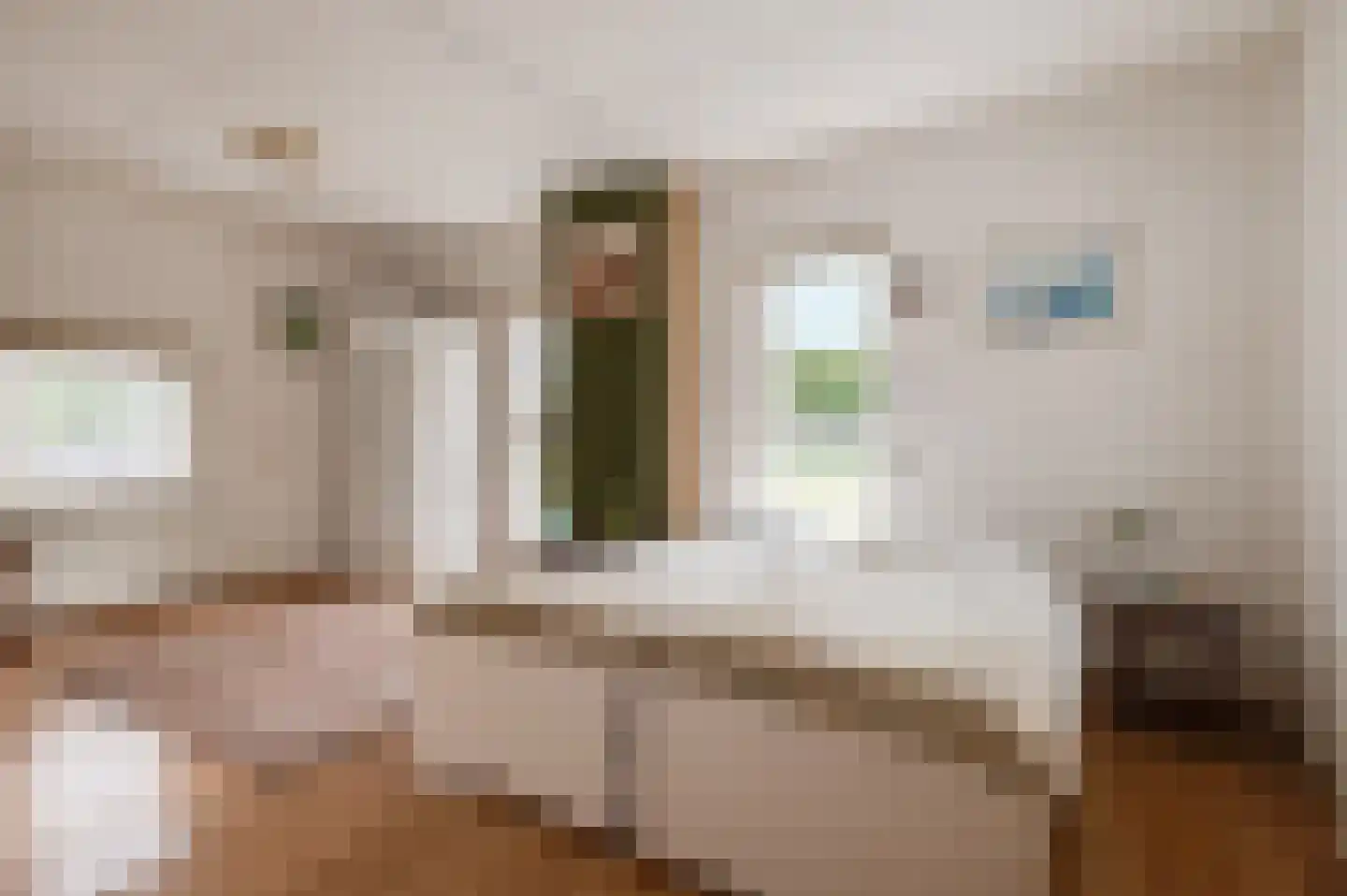 Nieuwe Tielseweg 114 Tiel thumbnail 39