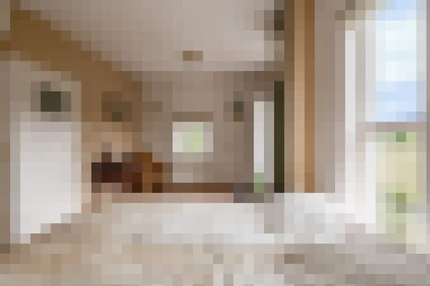 Nieuwe Tielseweg 114 Tiel thumbnail 40