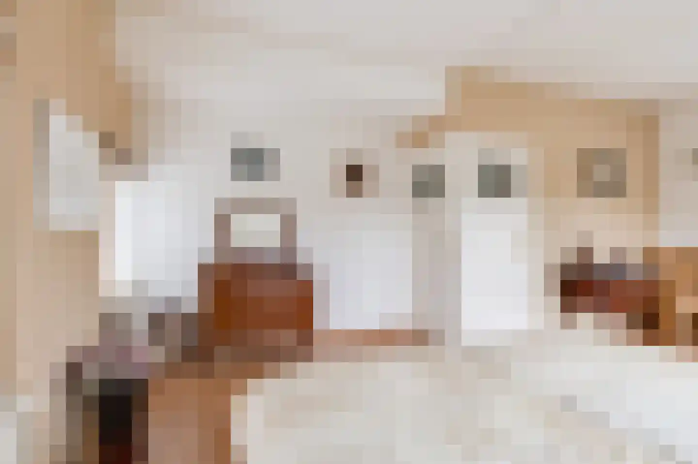 Nieuwe Tielseweg 114 Tiel thumbnail 42