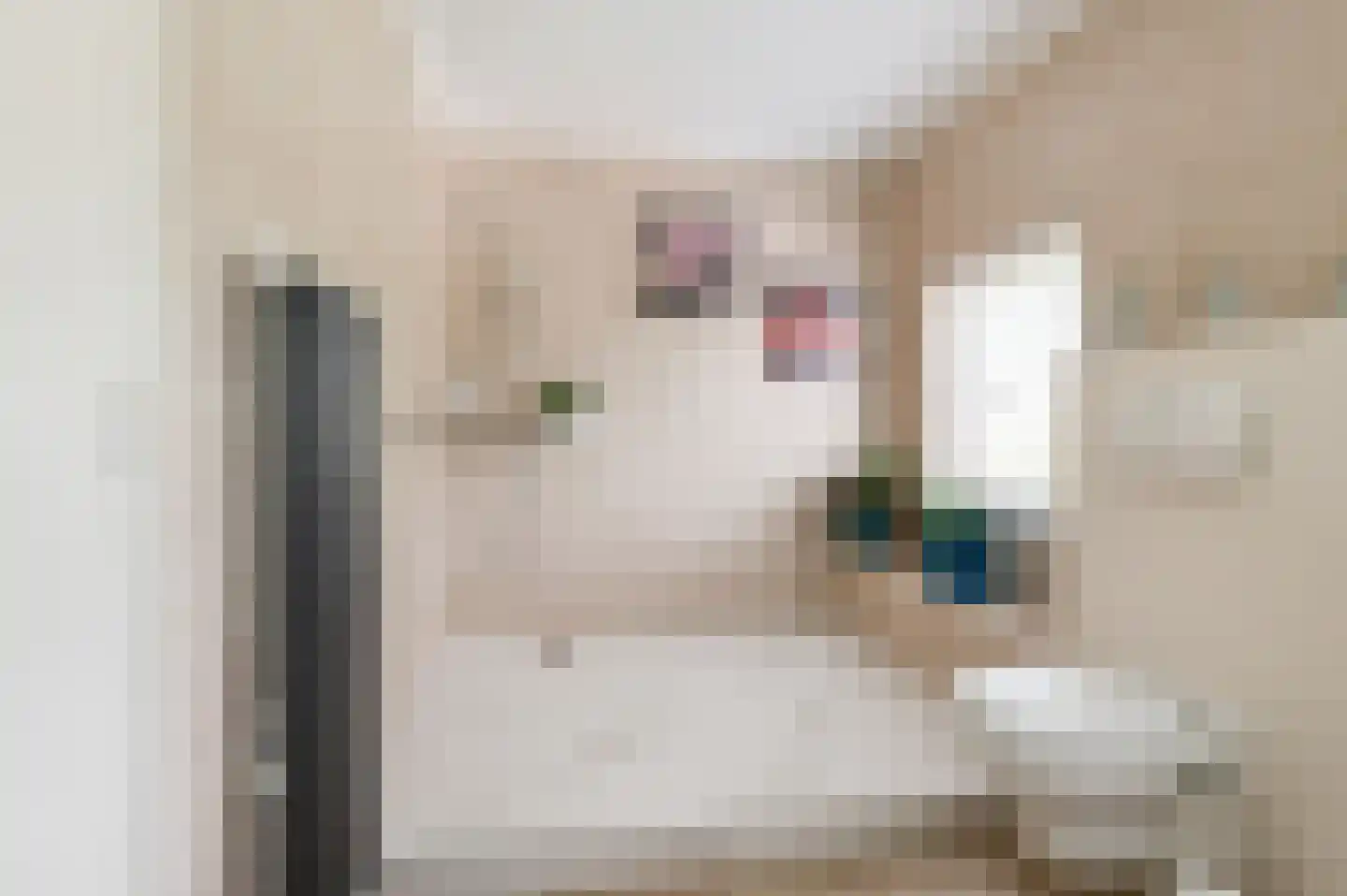 Nieuwe Tielseweg 114 Tiel thumbnail 43