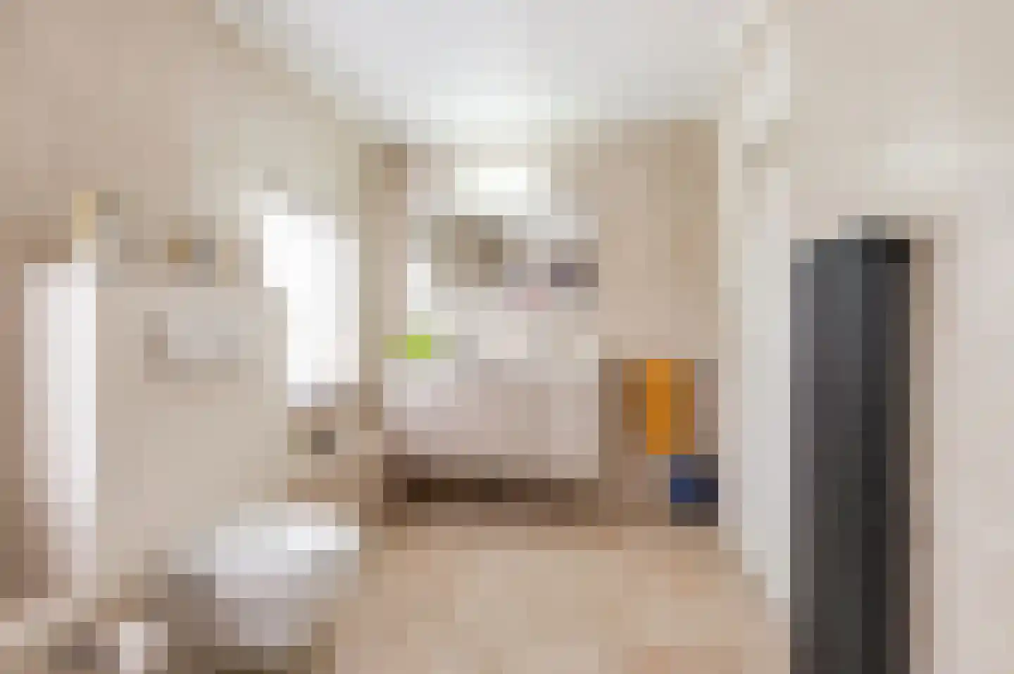 Nieuwe Tielseweg 114 Tiel thumbnail 44