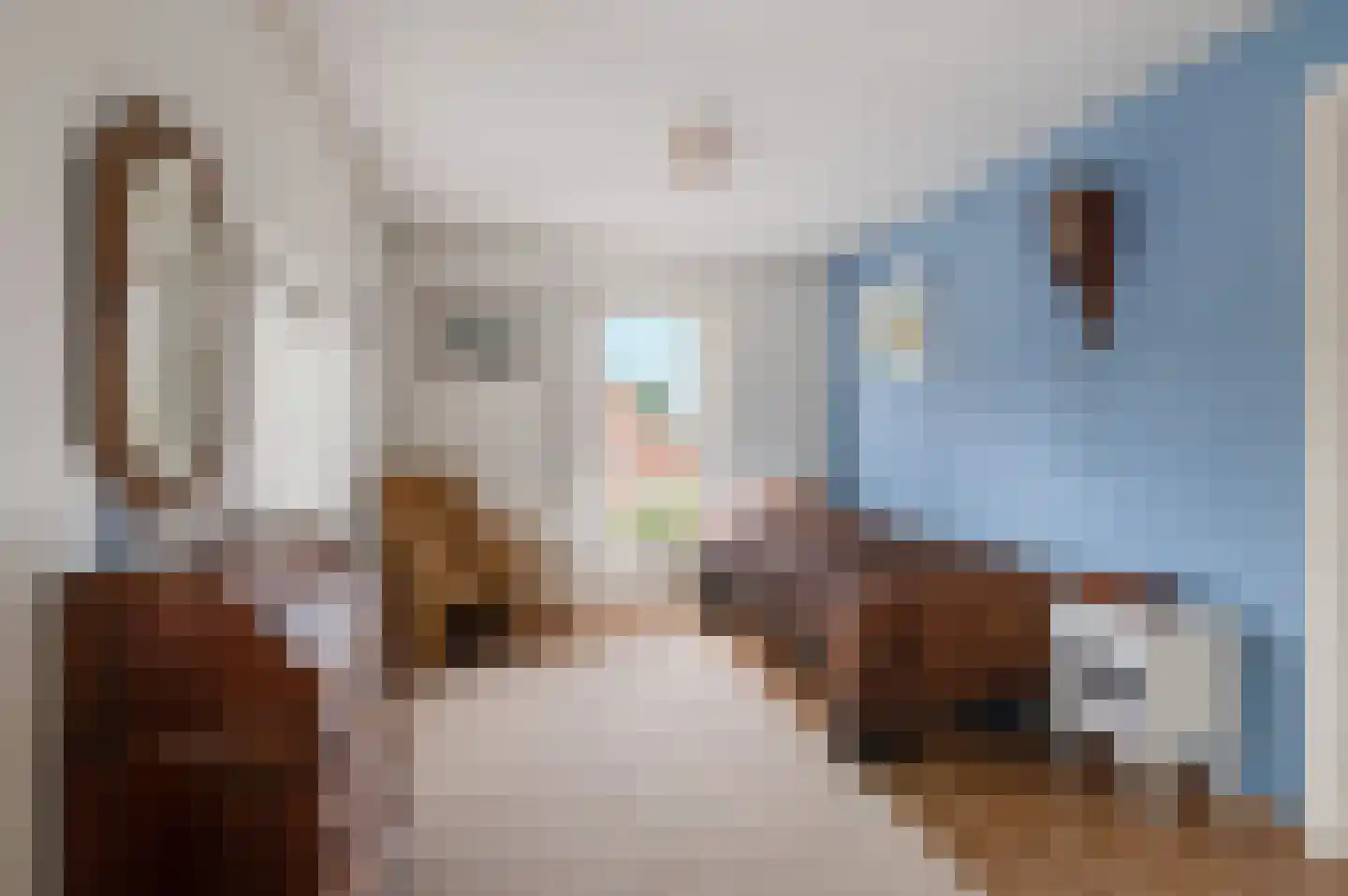 Nieuwe Tielseweg 114 Tiel thumbnail 45