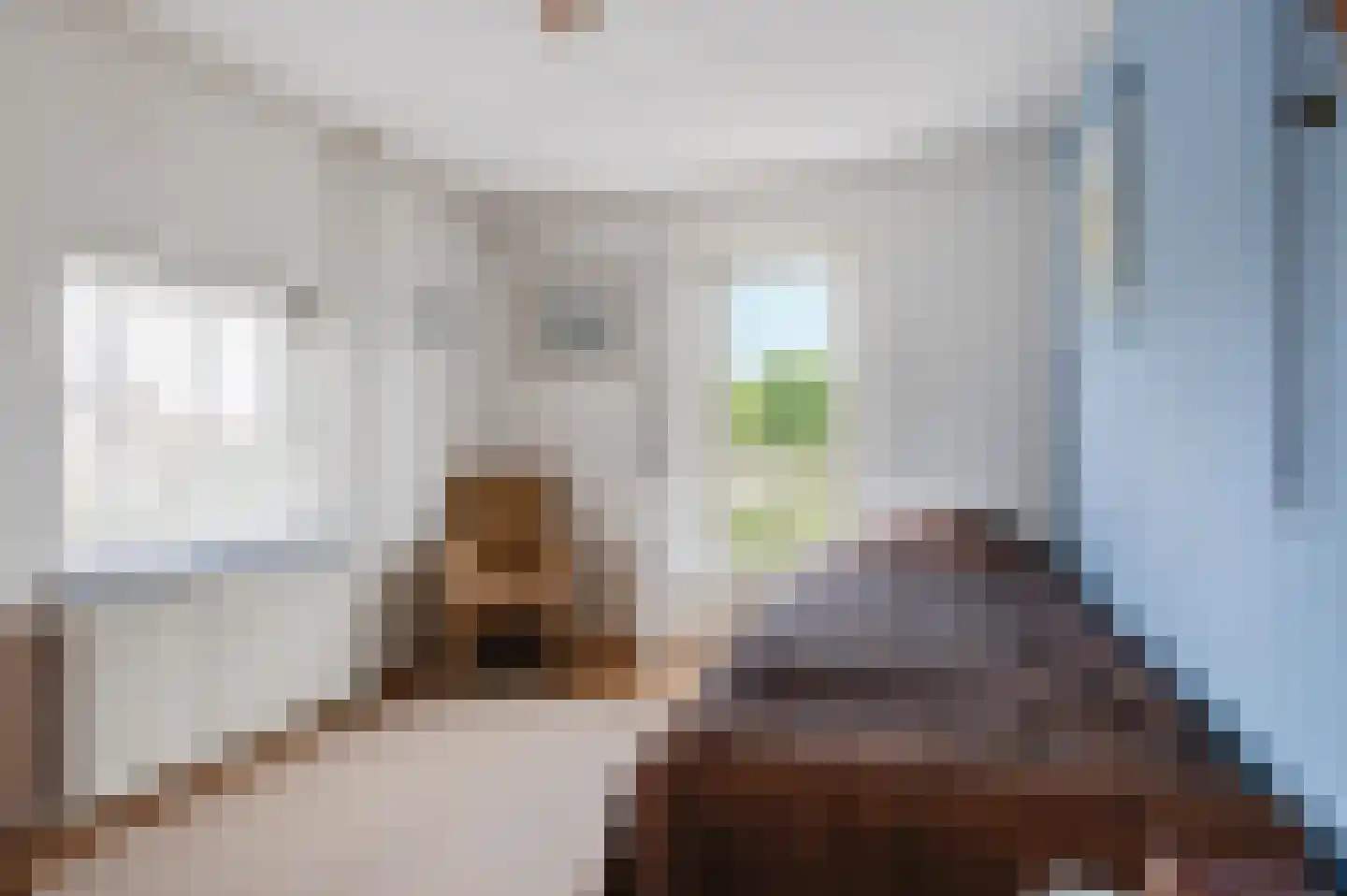 Nieuwe Tielseweg 114 Tiel thumbnail 46