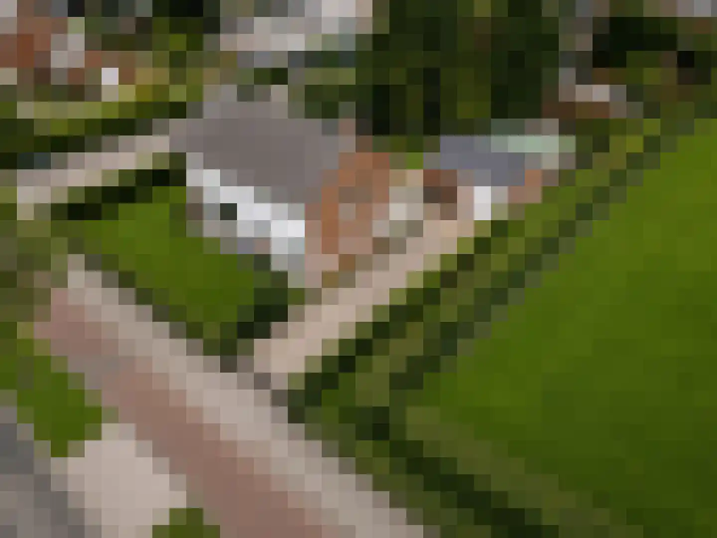 Nieuwe Tielseweg 114 Tiel thumbnail 55
