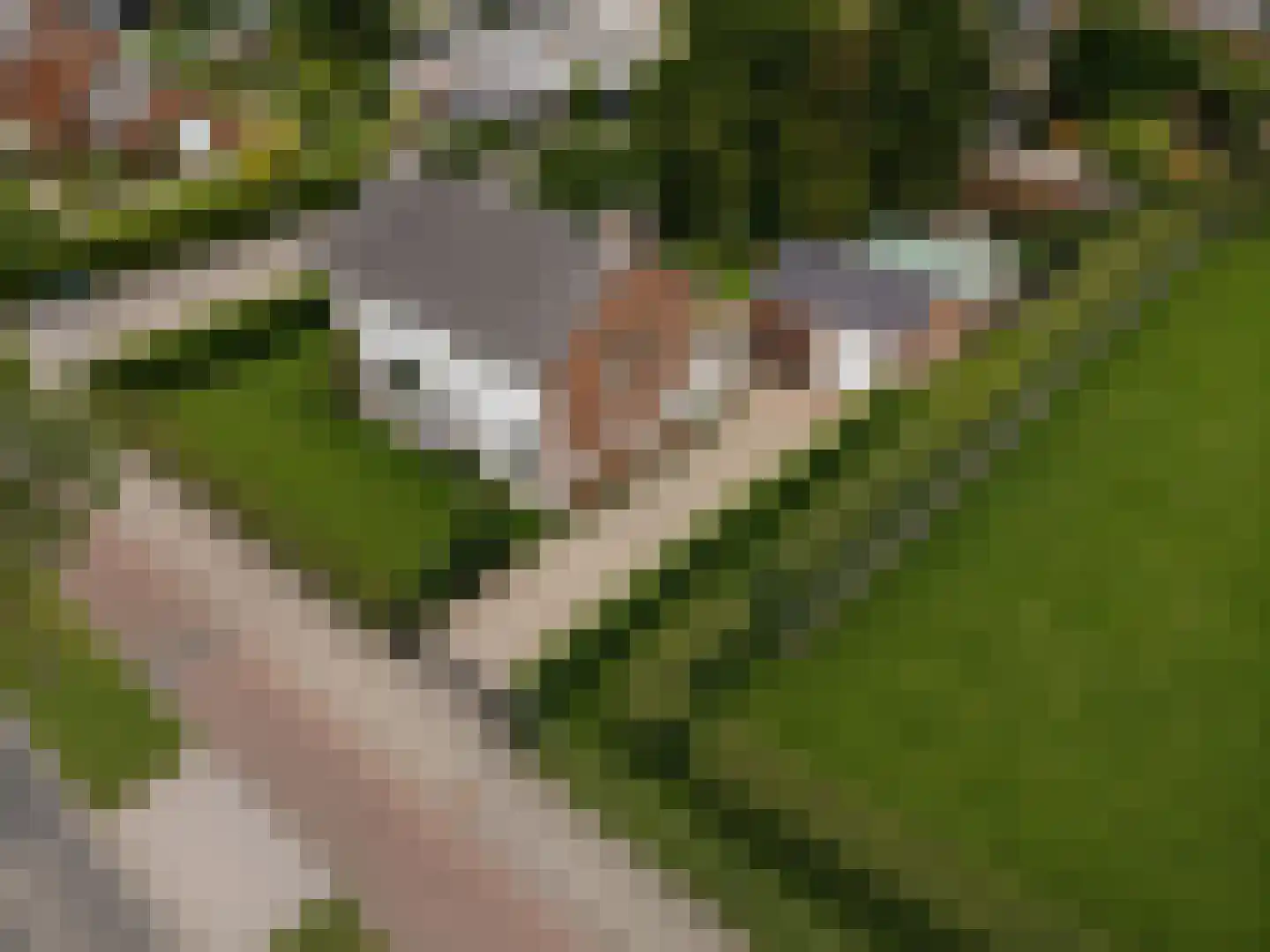 Nieuwe Tielseweg 114 Tiel thumbnail 56