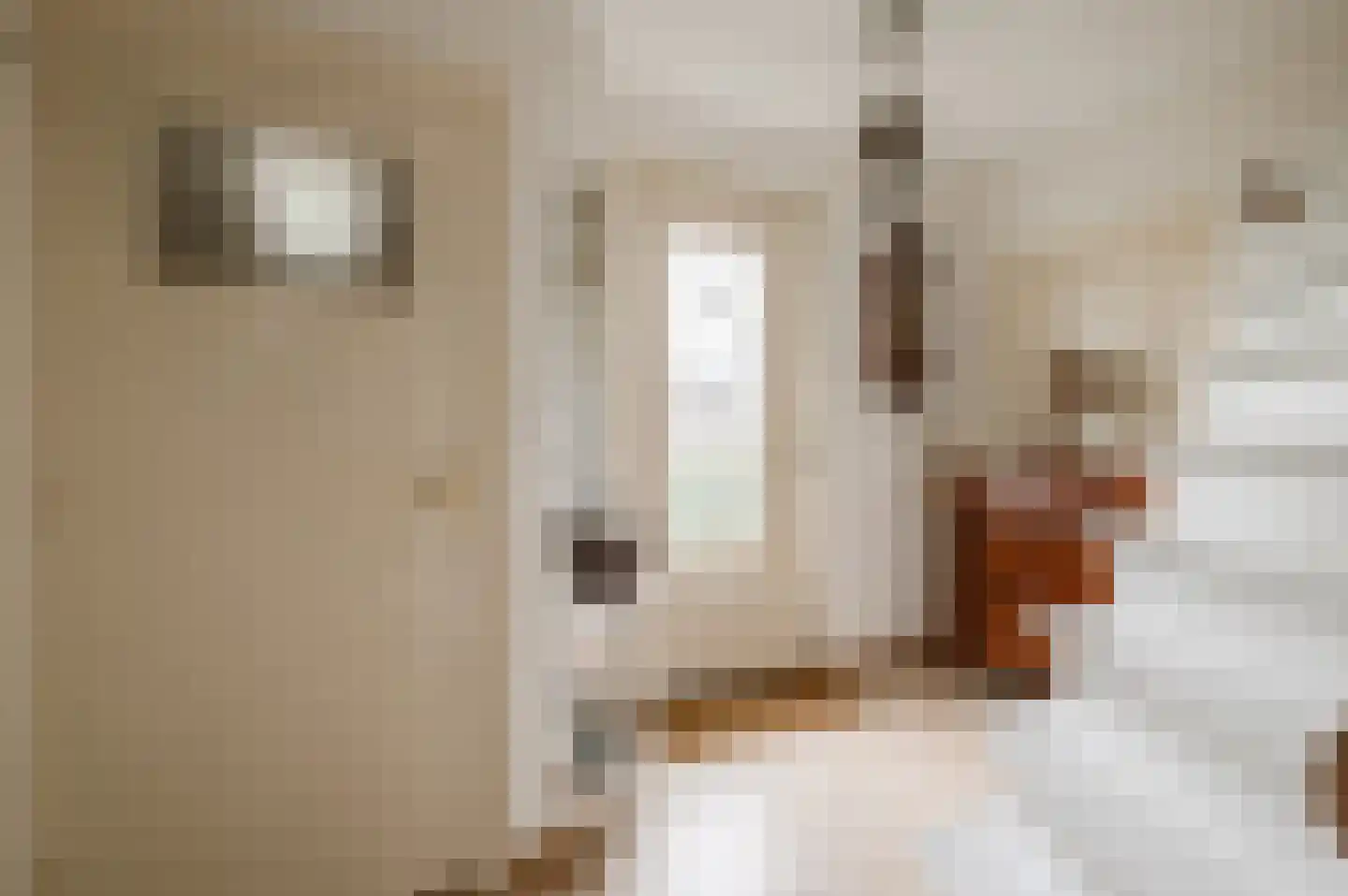 Nieuwe Tielseweg 114 Tiel thumbnail 6
