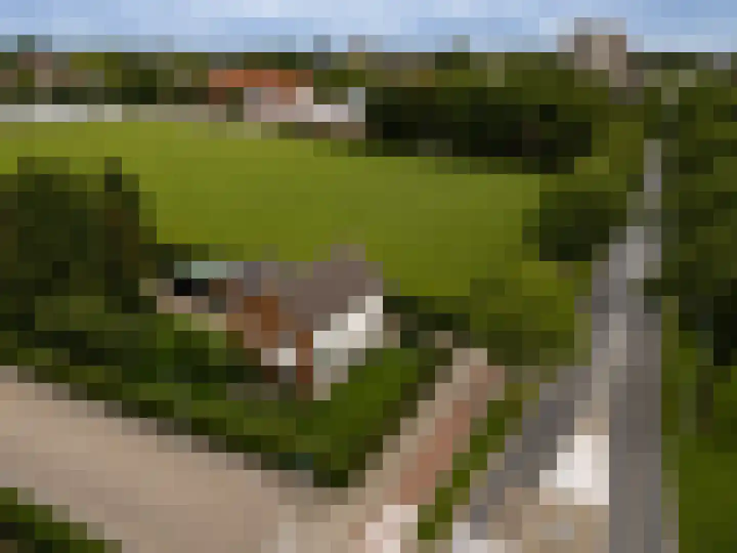 Nieuwe Tielseweg 114 Tiel thumbnail 60
