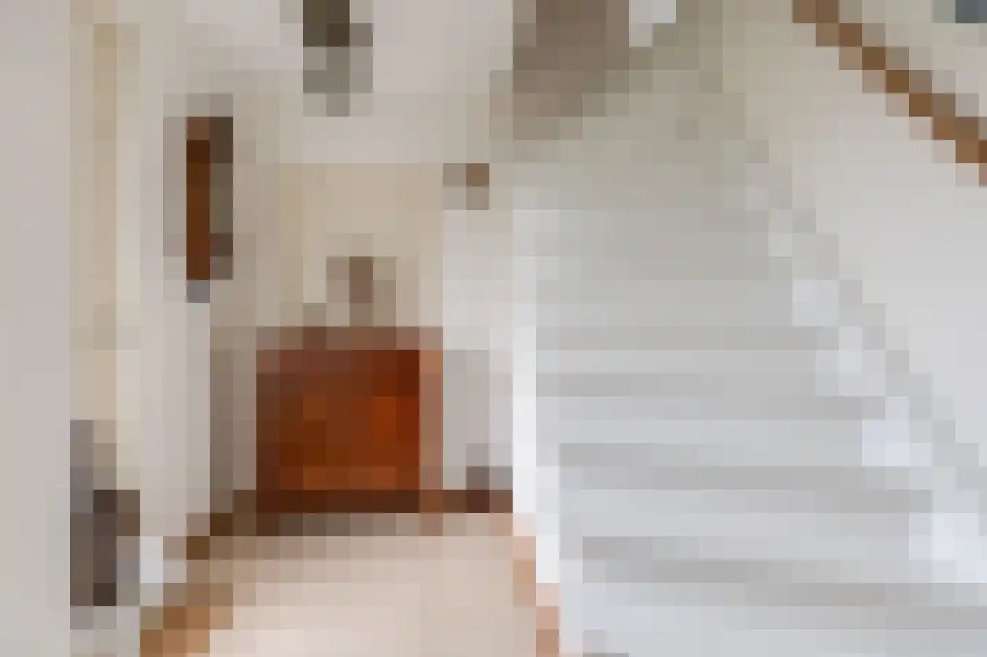 Nieuwe Tielseweg 114 Tiel thumbnail 7
