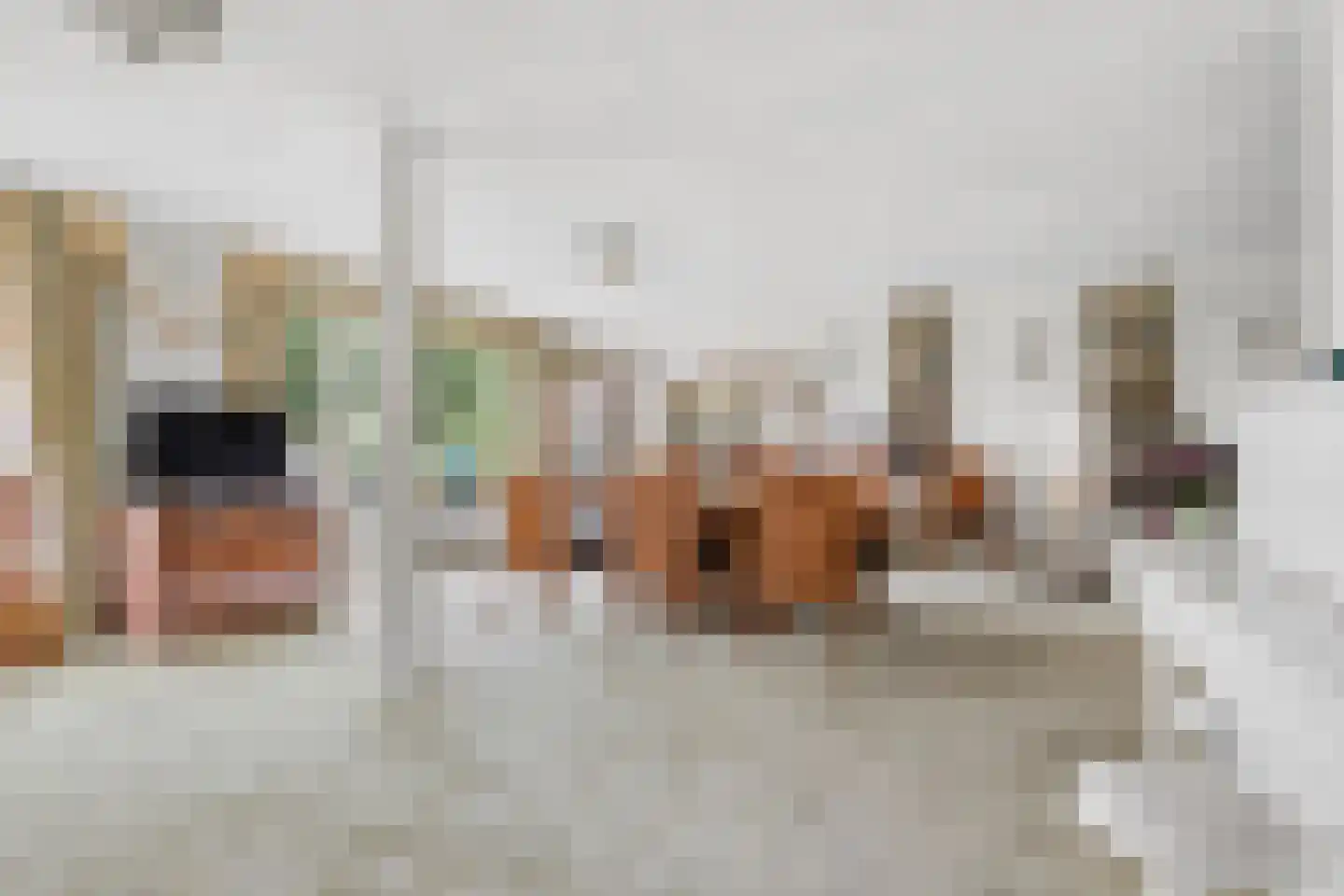 Nieuwe Tielseweg 137 Tiel thumbnail 12
