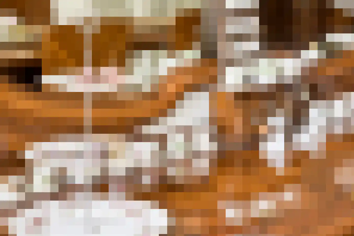 Nieuwe Tielseweg 137 Tiel thumbnail 13