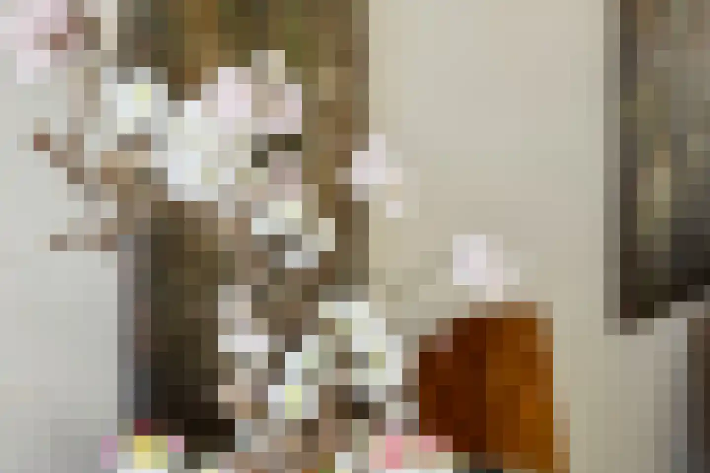 Nieuwe Tielseweg 137 Tiel thumbnail 15