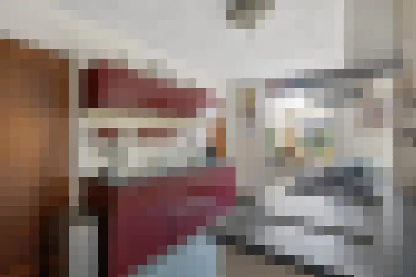 Nieuwe Tielseweg 137 Tiel thumbnail 17