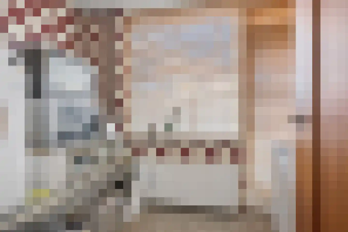 Nieuwe Tielseweg 137 Tiel thumbnail 19