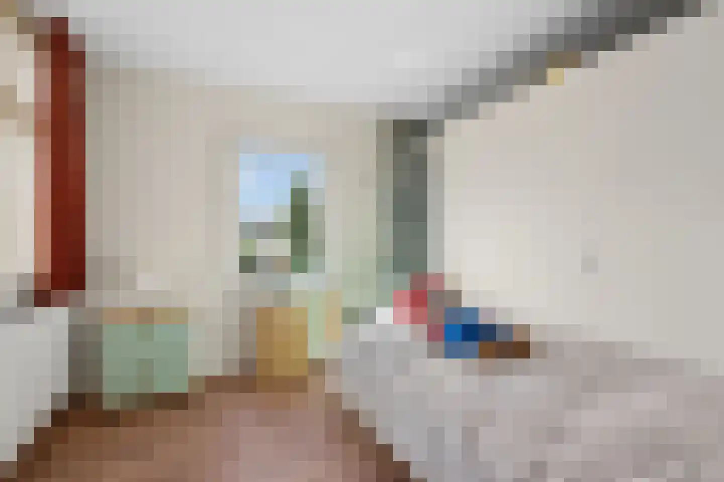 Nieuwe Tielseweg 137 Tiel thumbnail 34