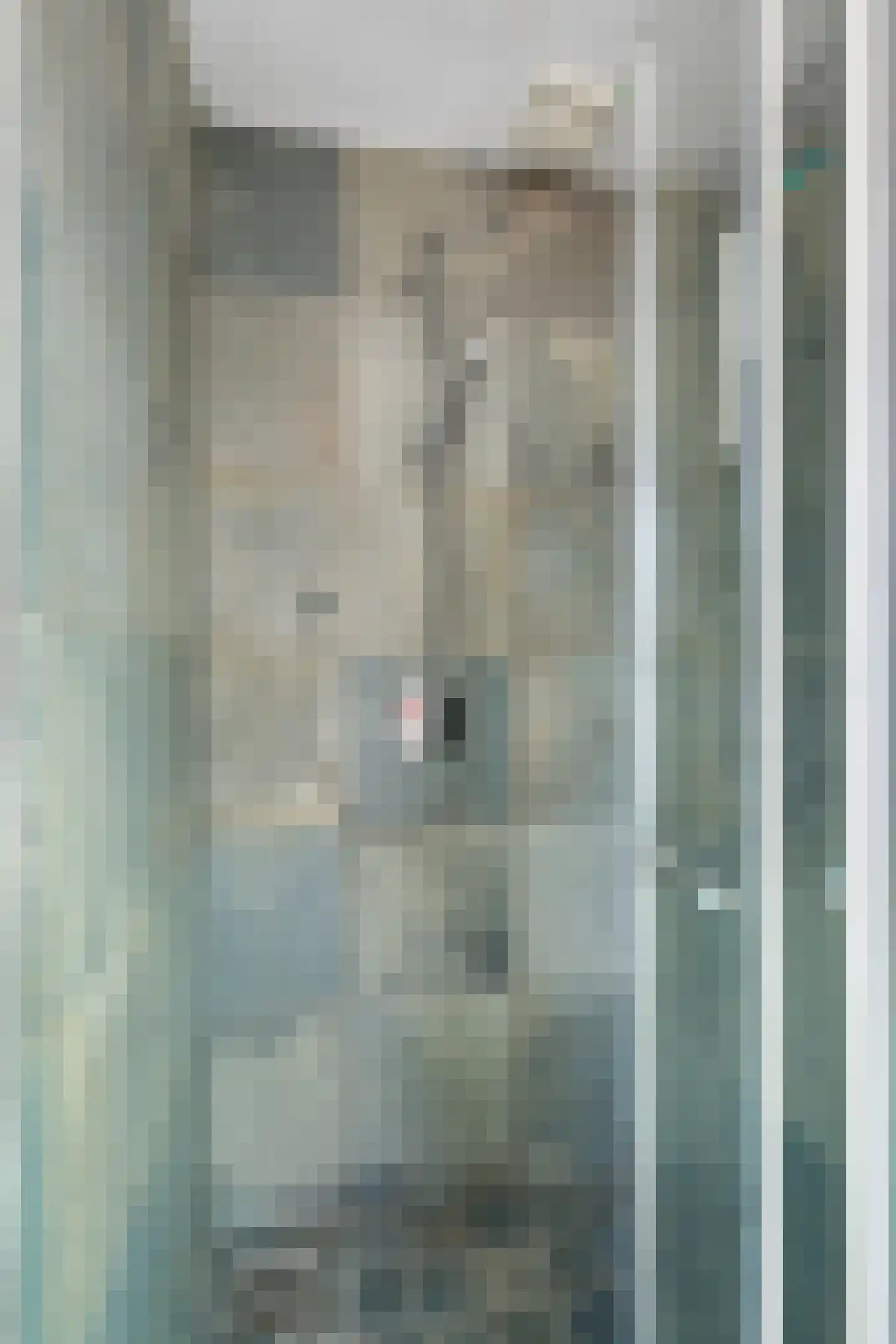 Nieuwe Tielseweg 137 Tiel thumbnail 36