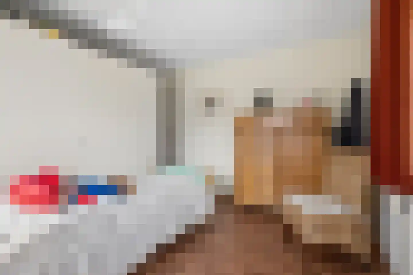 Nieuwe Tielseweg 137 Tiel thumbnail 37