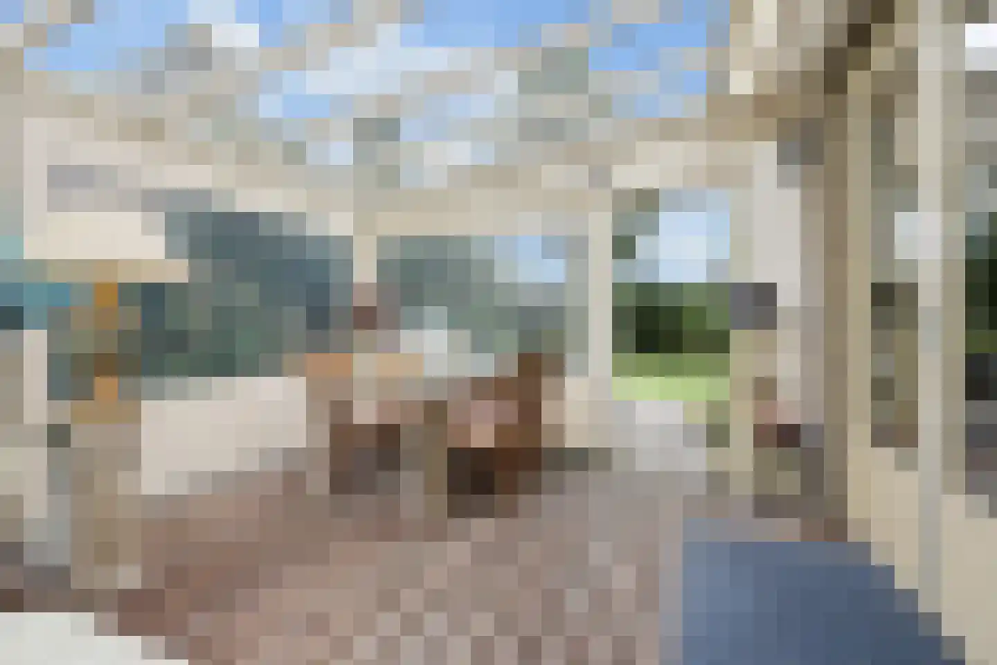 Nieuwe Tielseweg 137 Tiel thumbnail 44