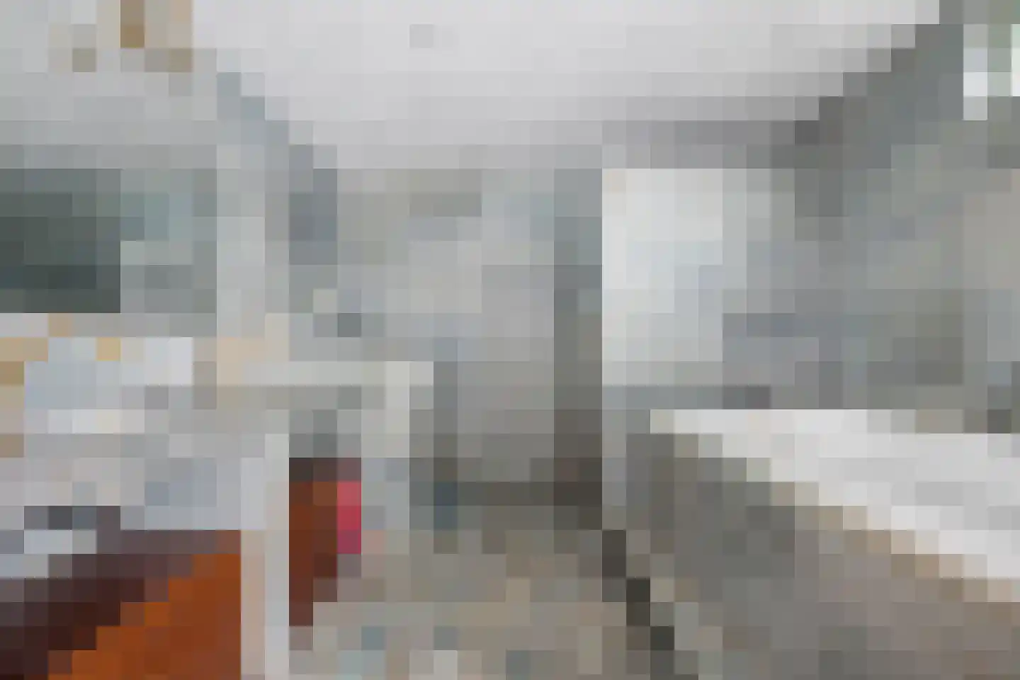 Nieuwe Tielseweg 137 Tiel thumbnail 5