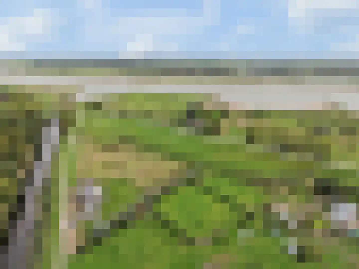 Nieuwe Tielseweg 137 Tiel thumbnail 50