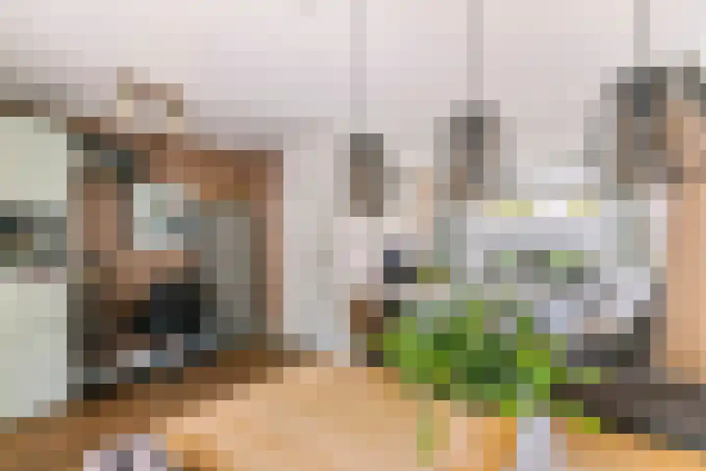 Nieuwe Tielseweg 15 Tiel thumbnail 10