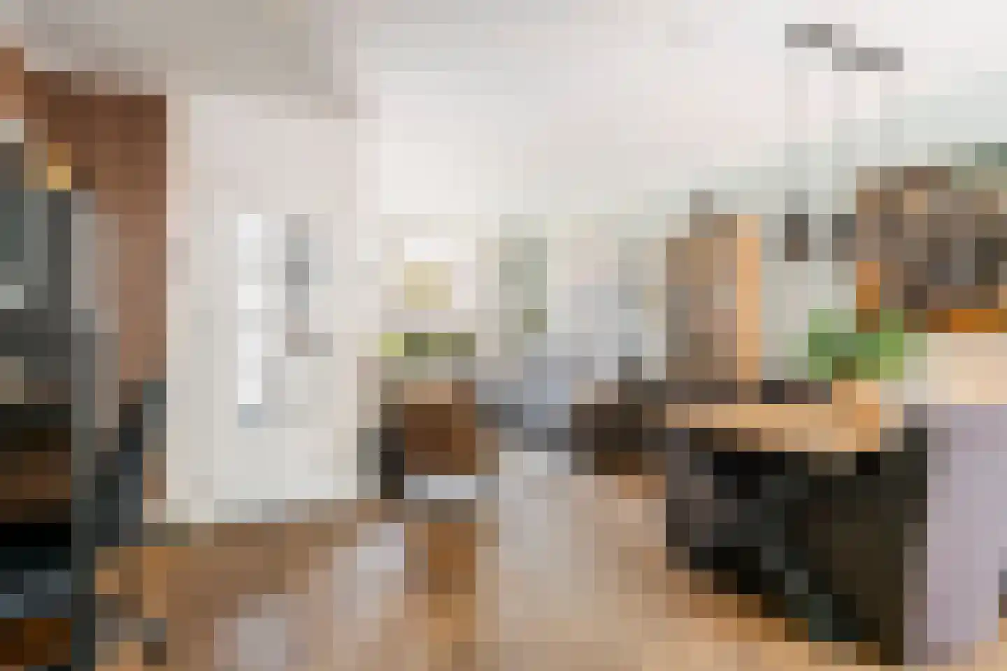 Nieuwe Tielseweg 15 Tiel thumbnail 11