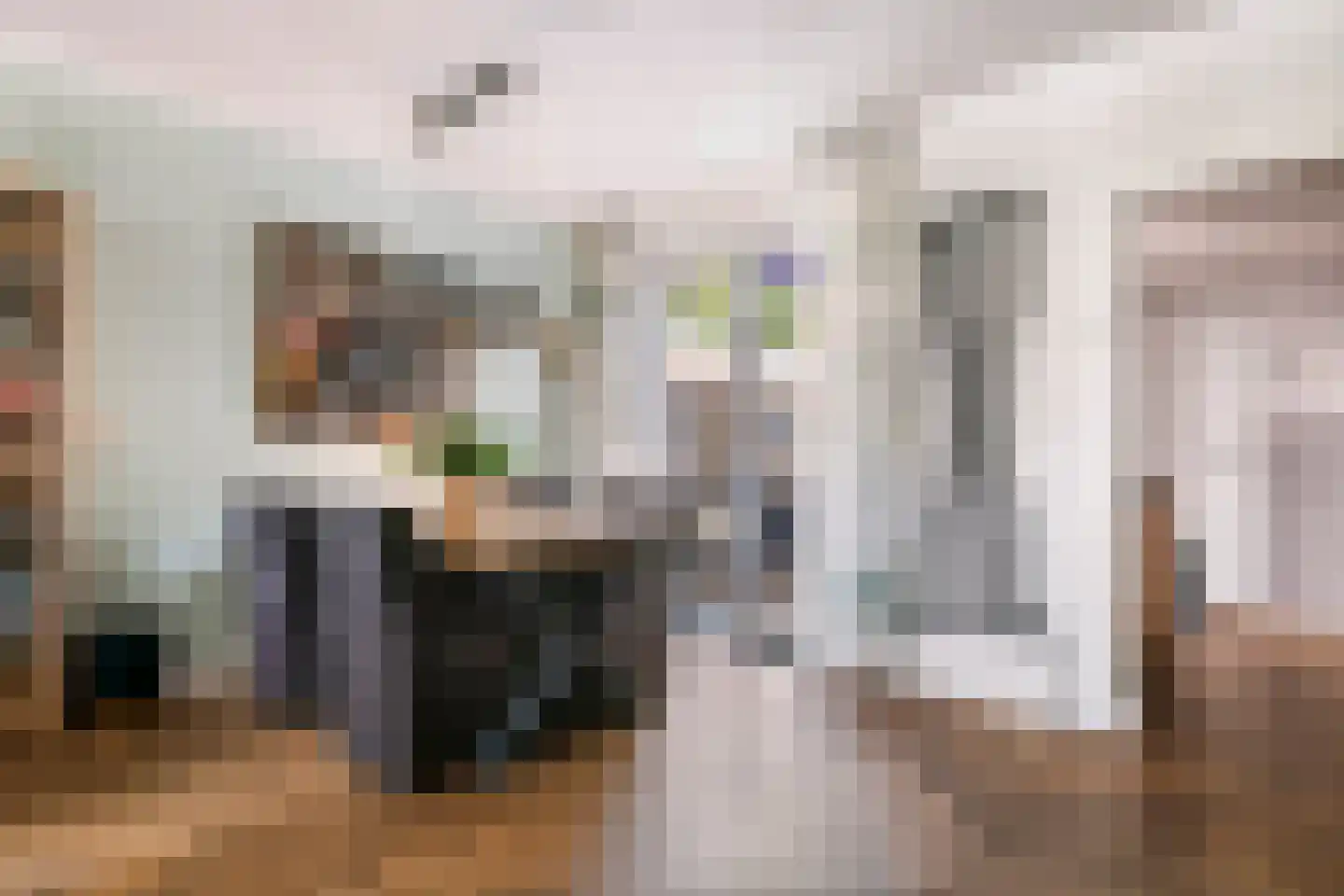 Nieuwe Tielseweg 15 Tiel thumbnail 12