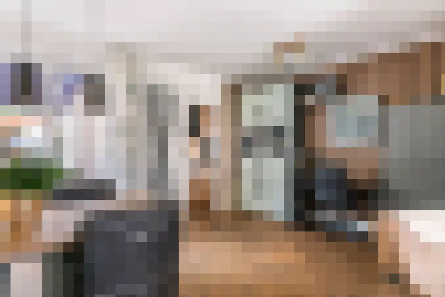 Nieuwe Tielseweg 15 Tiel thumbnail 13