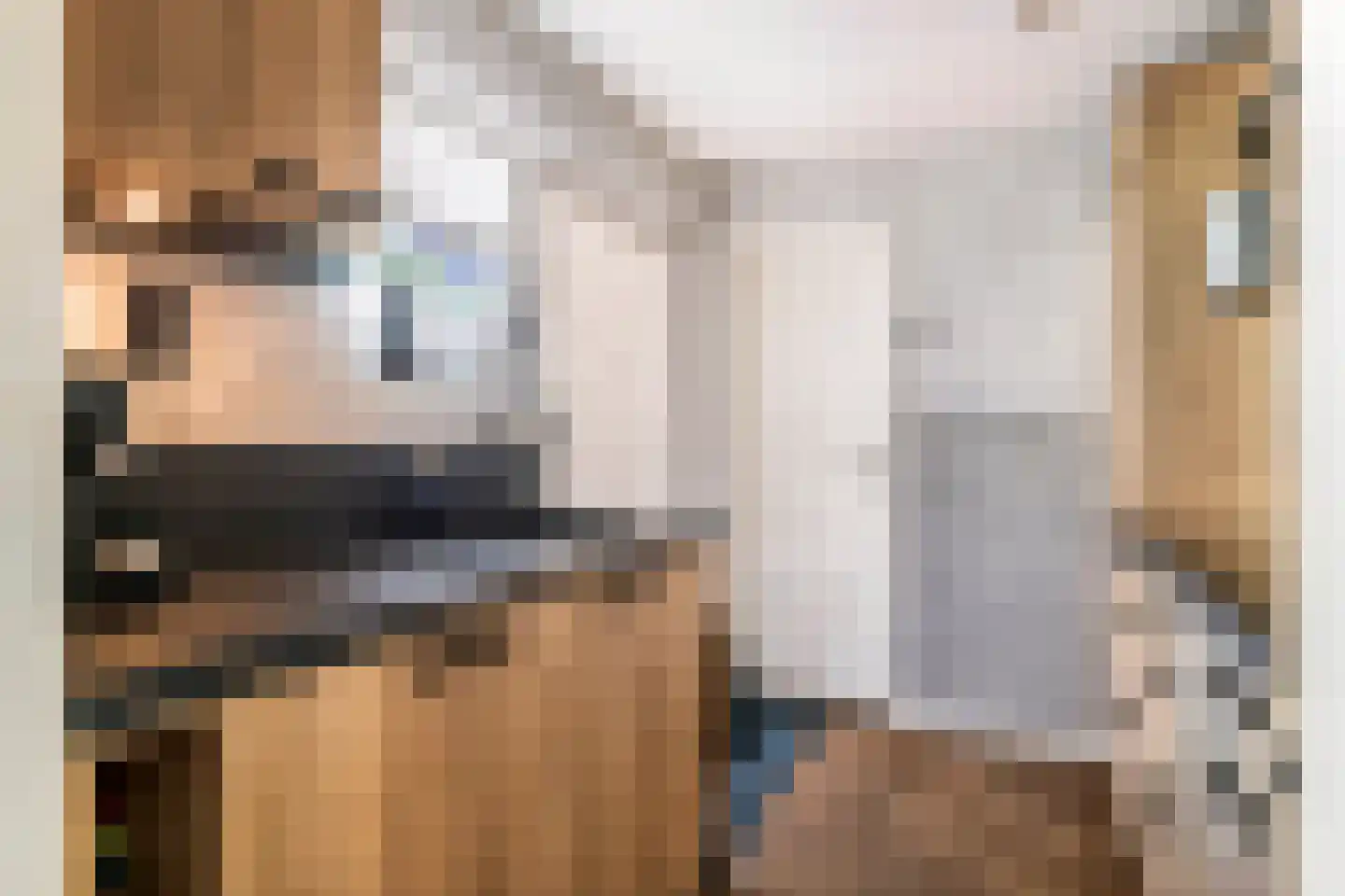Nieuwe Tielseweg 15 Tiel thumbnail 14