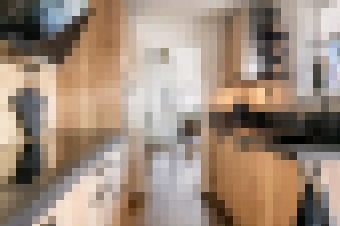 Nieuwe Tielseweg 15 Tiel thumbnail 16