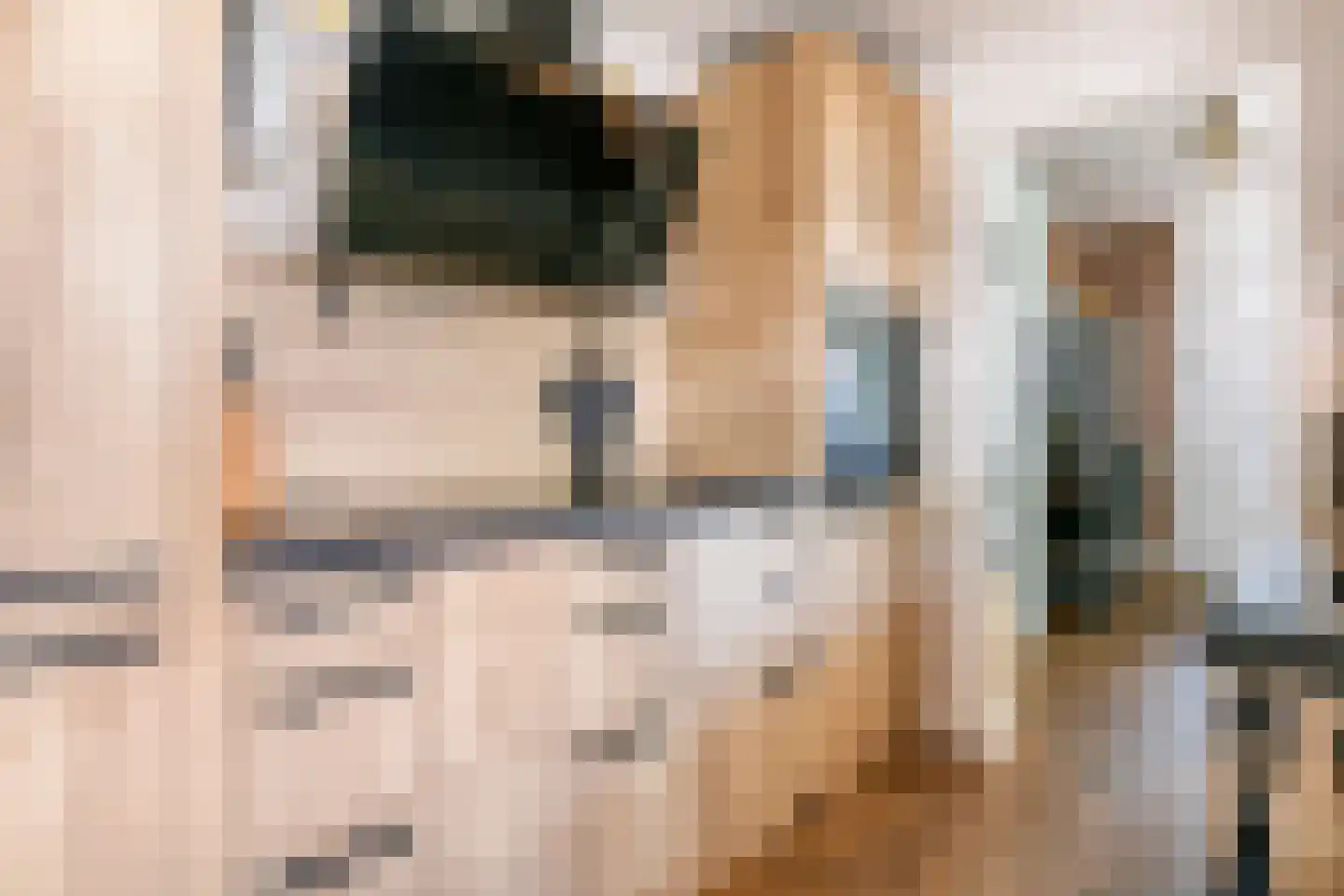 Nieuwe Tielseweg 15 Tiel thumbnail 17