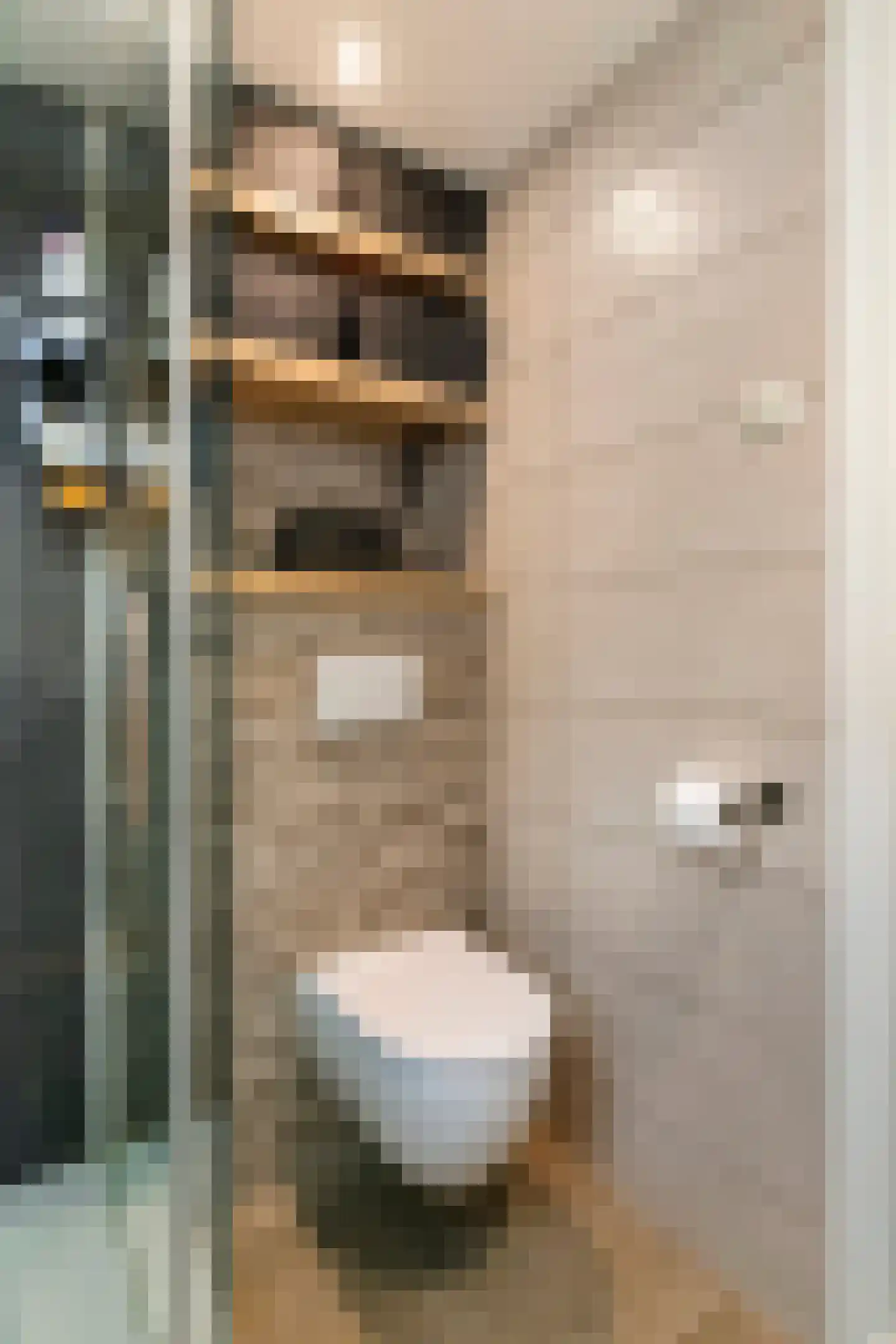 Nieuwe Tielseweg 15 Tiel thumbnail 21