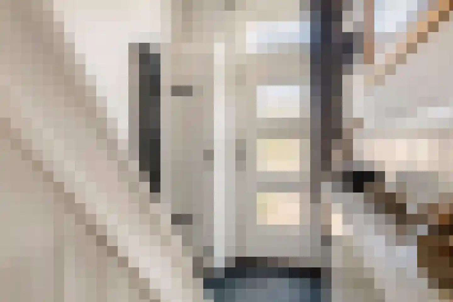 Nieuwe Tielseweg 15 Tiel thumbnail 22