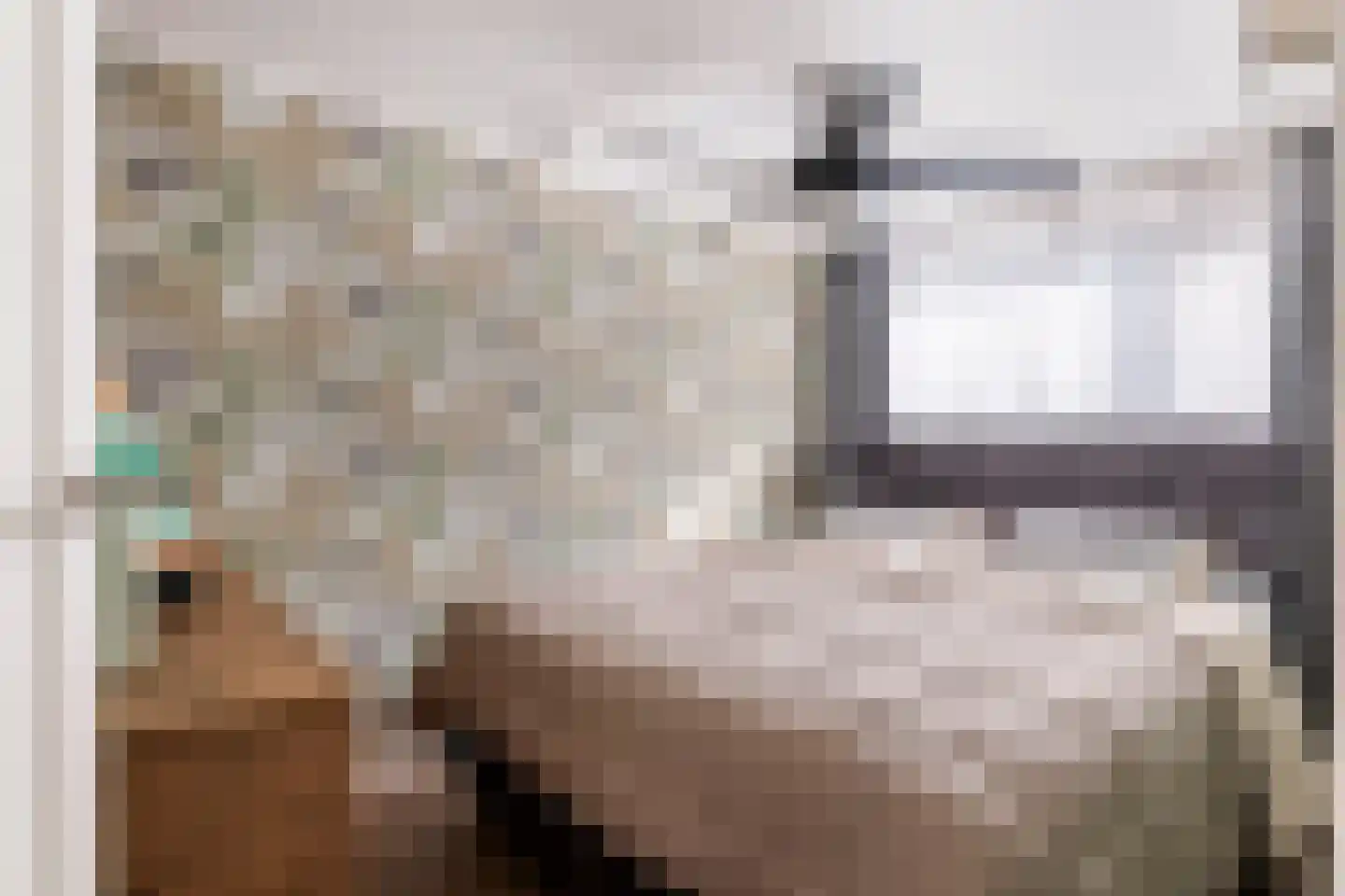 Nieuwe Tielseweg 15 Tiel thumbnail 23
